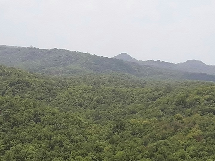Evergreen Hills
