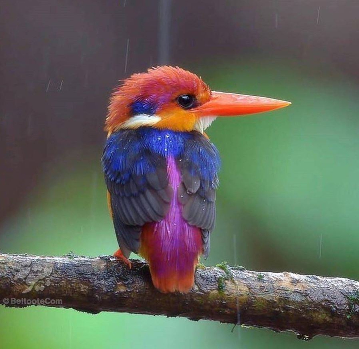 god's painting