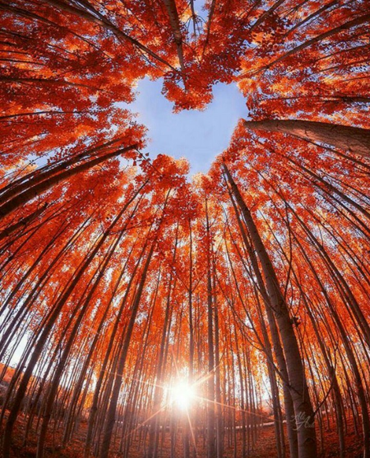 ❤❤❤