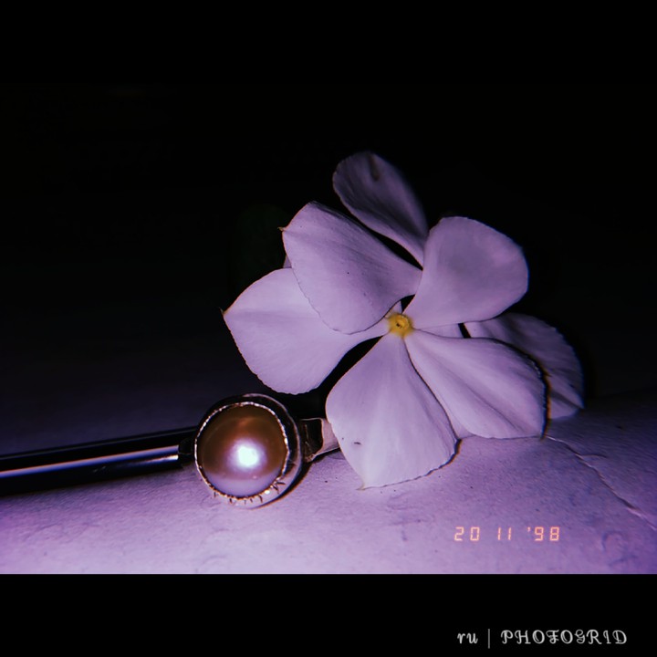 love