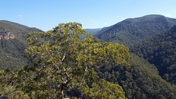 Blue Mountains