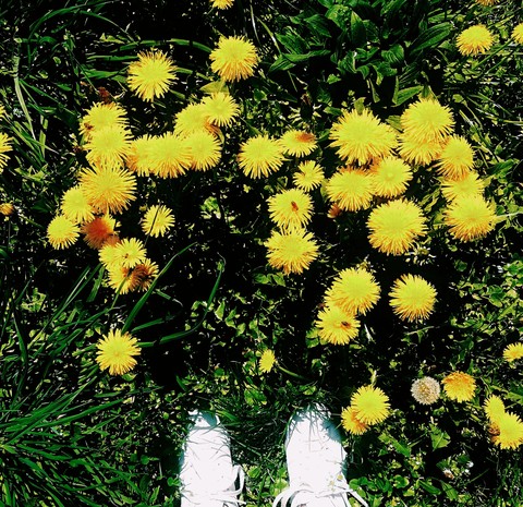 spring's here