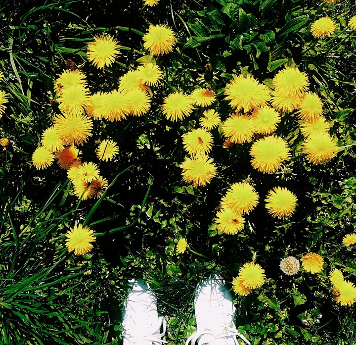 spring's here