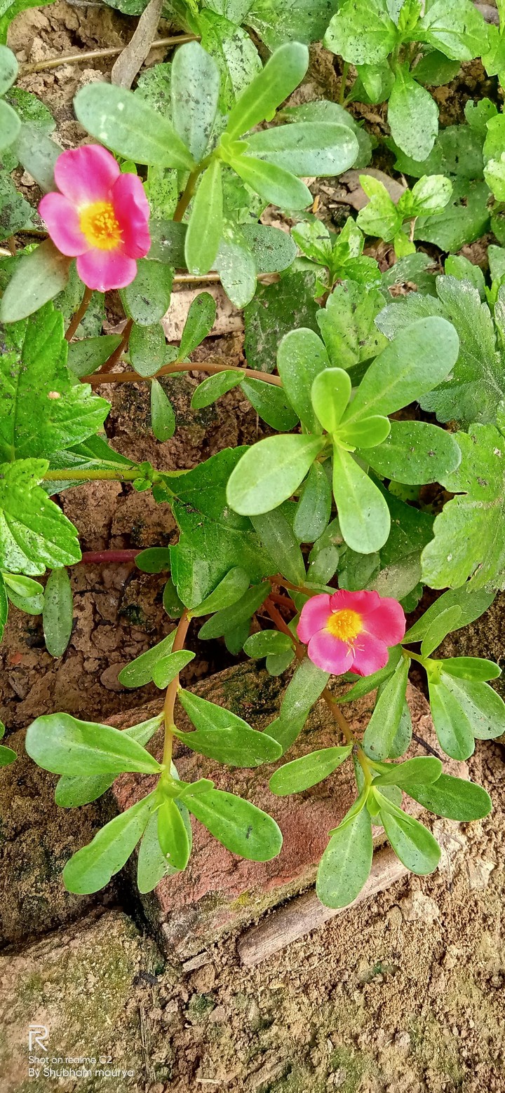 Florida