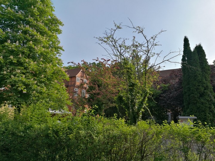 Fachwerkhaus