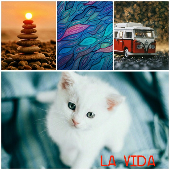 la vida