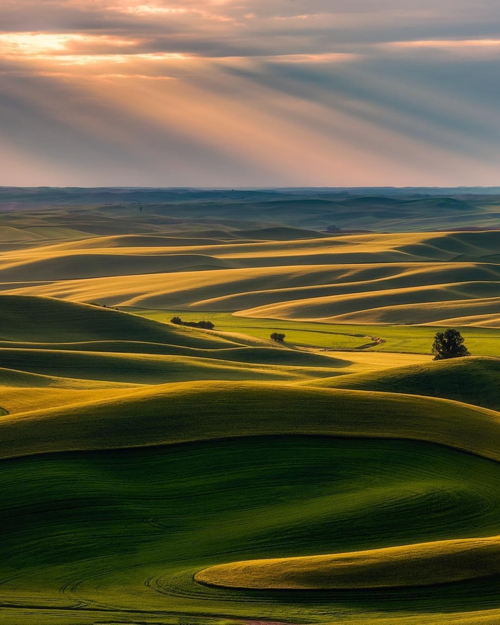 Do you see God in this tranquility?...