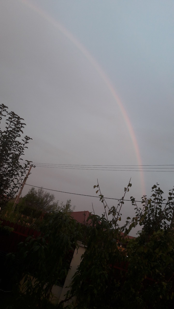 rainbow