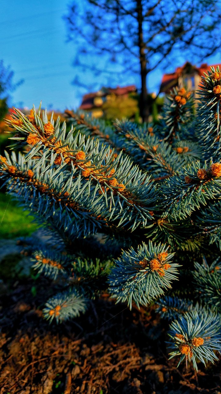 jesienny klimacik 