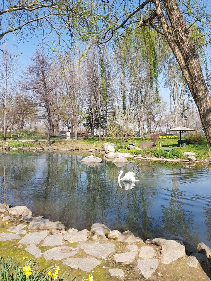 BURSA ZOO