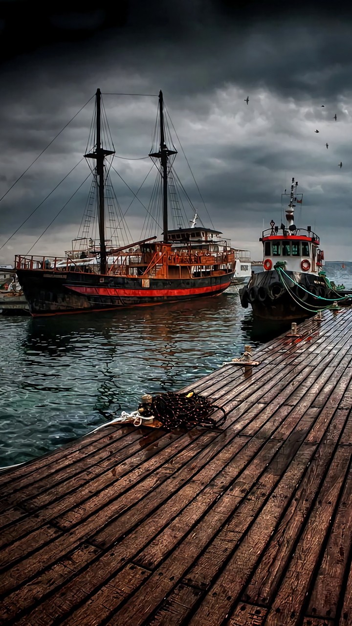 harbor