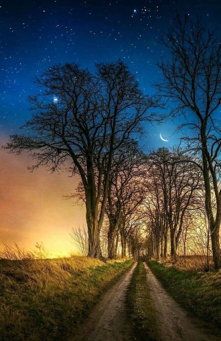 nature