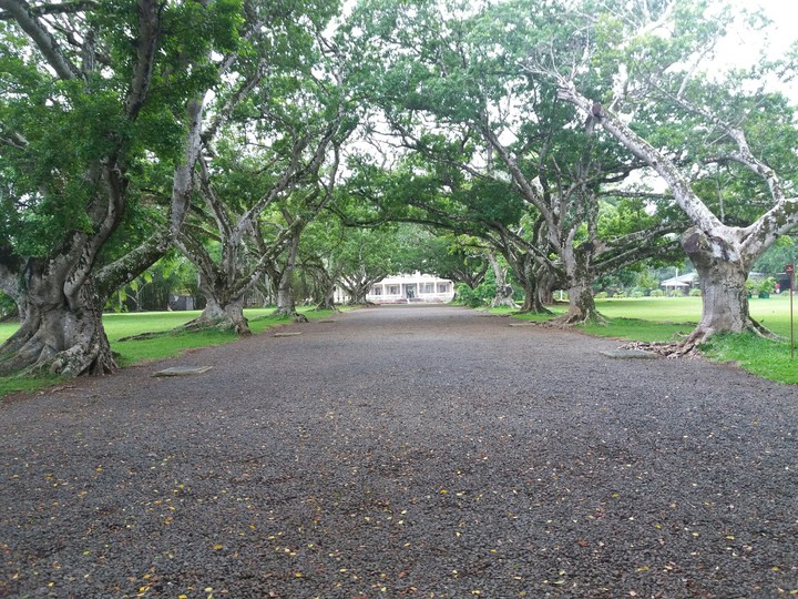 pathway to castle
