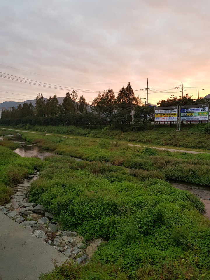 동네