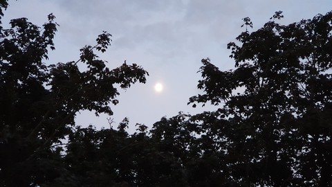 moon sun