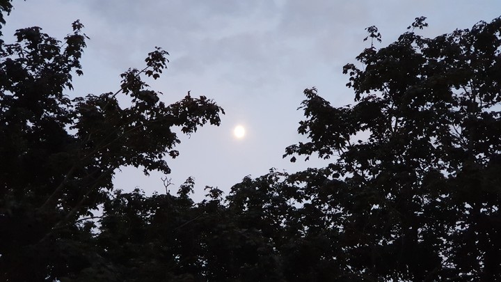 moon sun