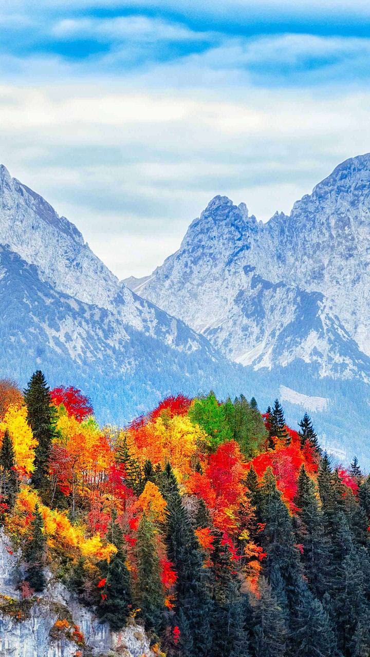 Nature