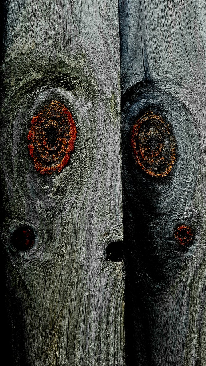 Gloomy fence