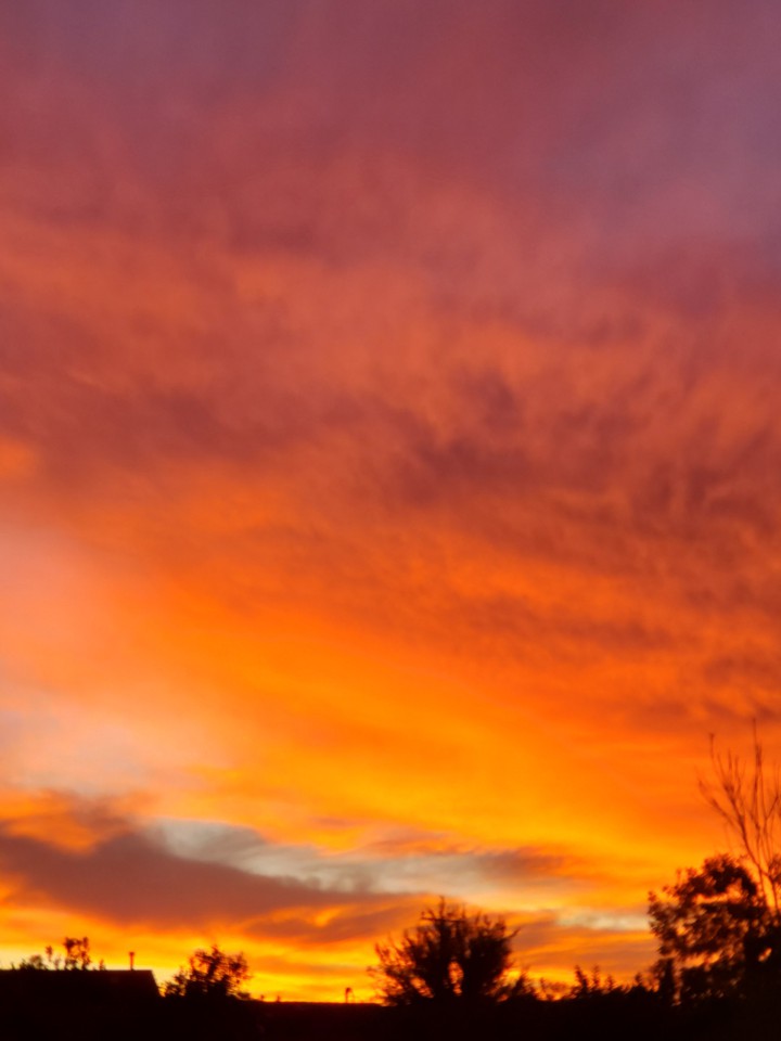 rojo amanecer