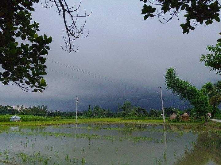 Village