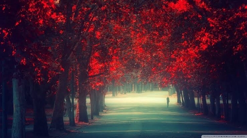 Walking alone