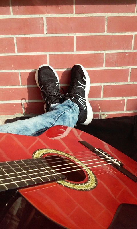 Guitar