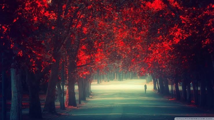 Walking alone