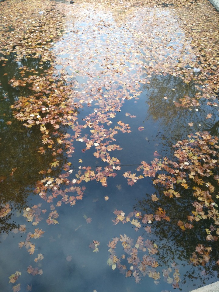 Kadrajımdan