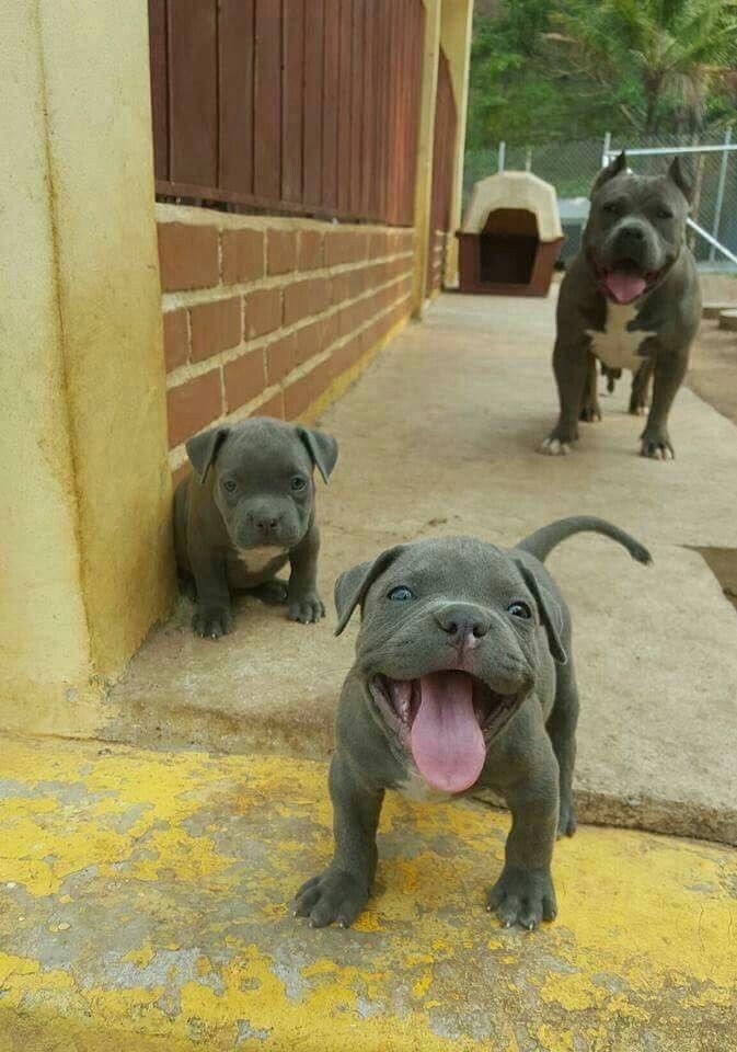 ♥️♥️♥️