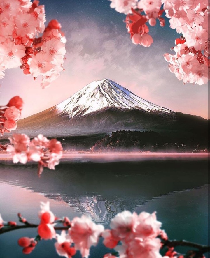 • Fuji •