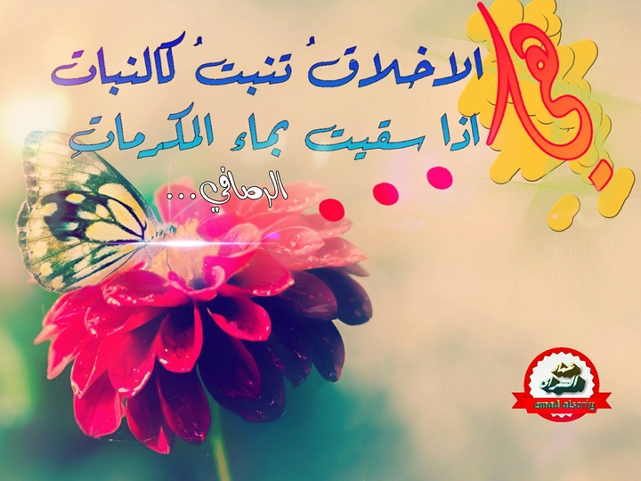 الصافي