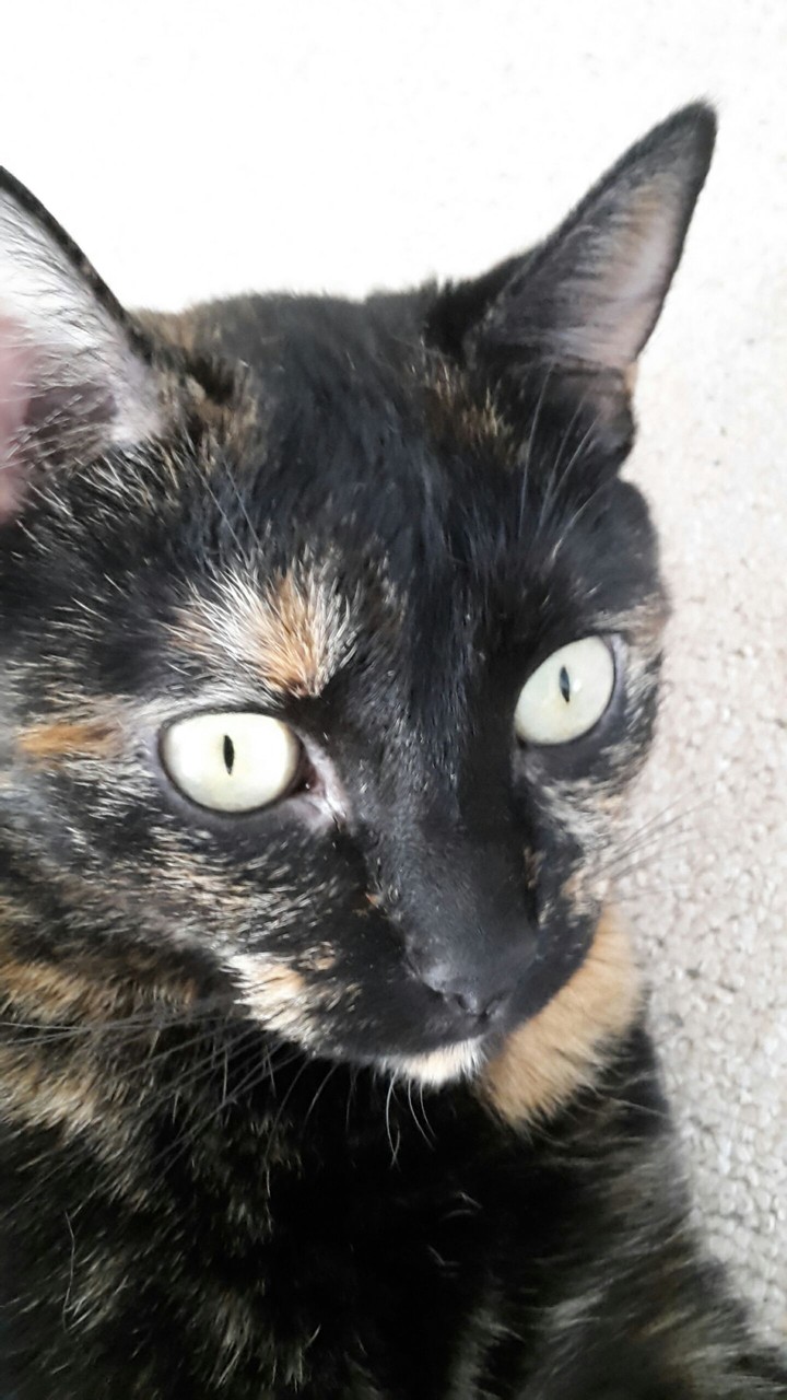 Chikita looking  for. ...