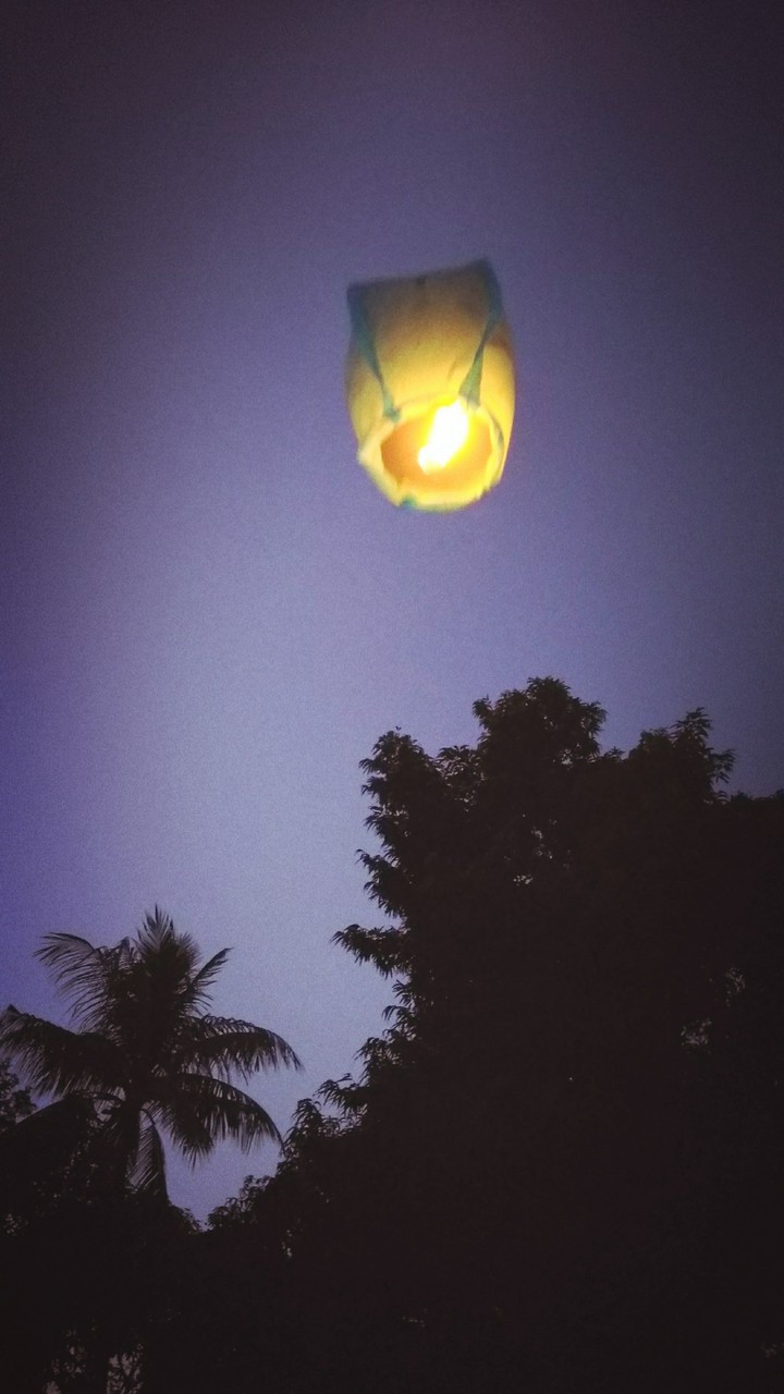 Chinese lantern