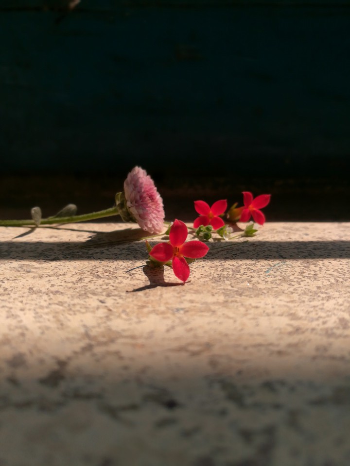 Flowers...