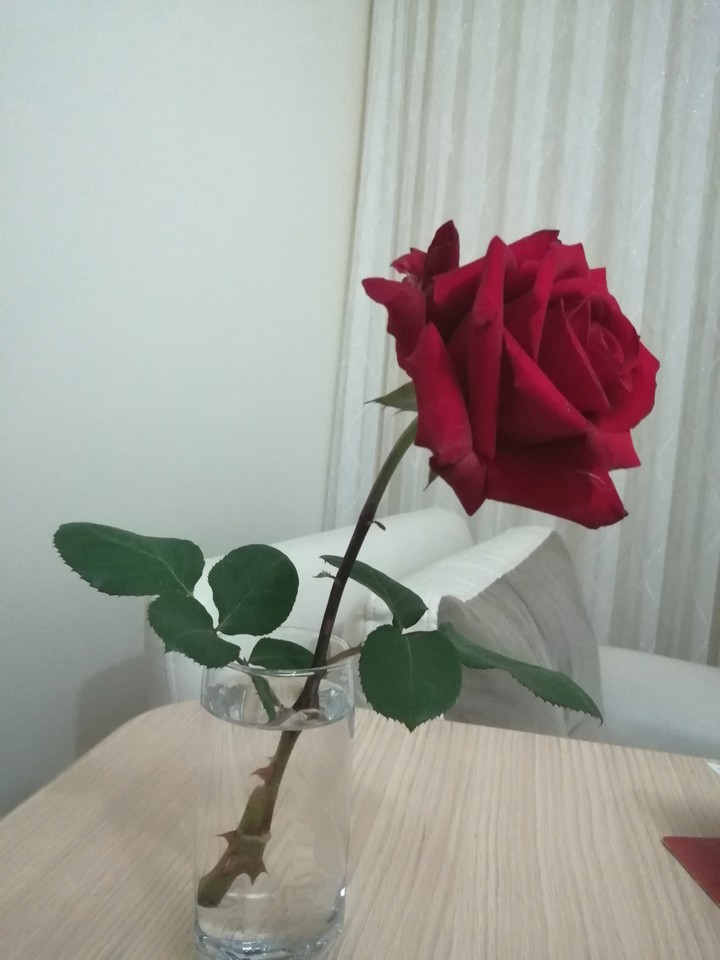 rose