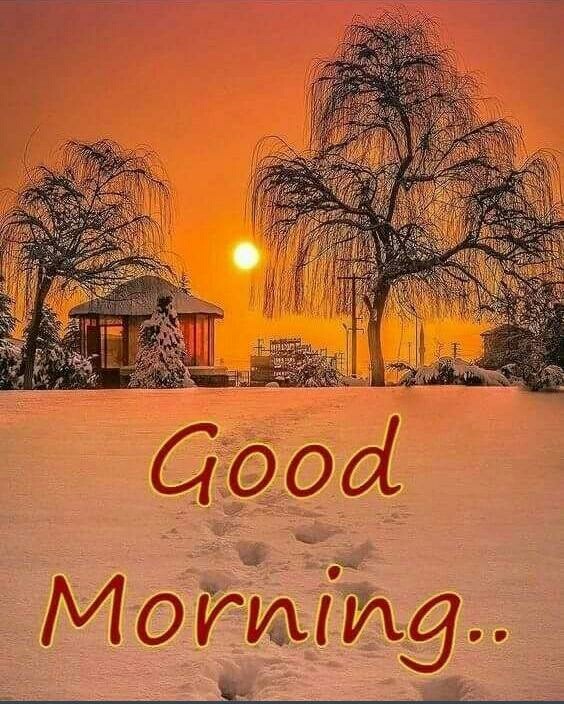 good morning