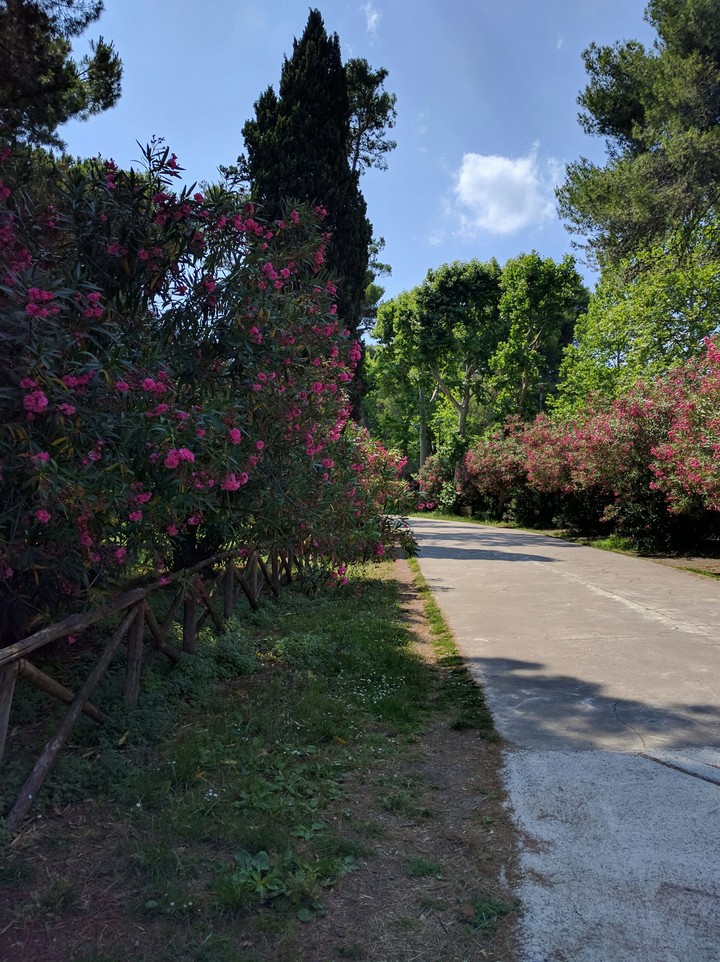 Small garden in Pompeii