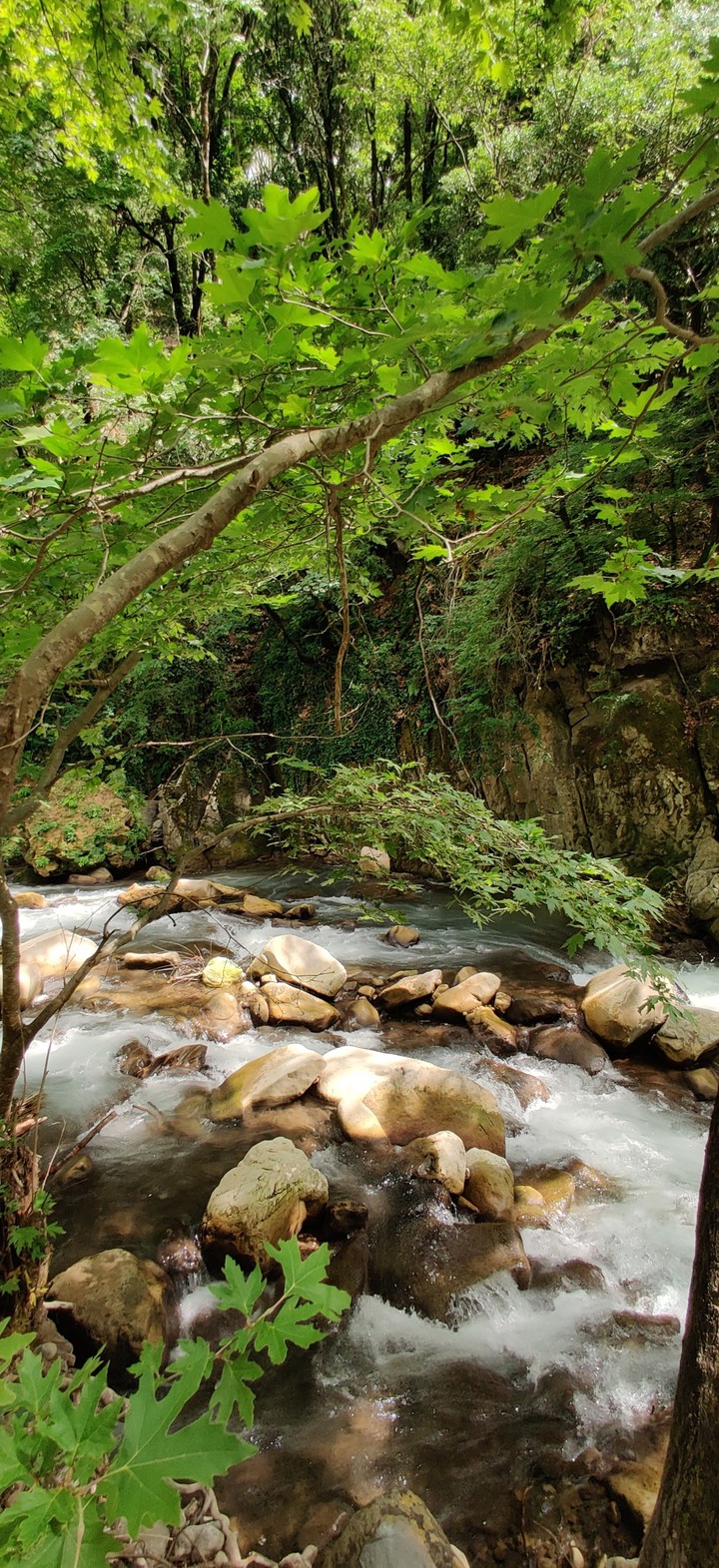 rivergreece