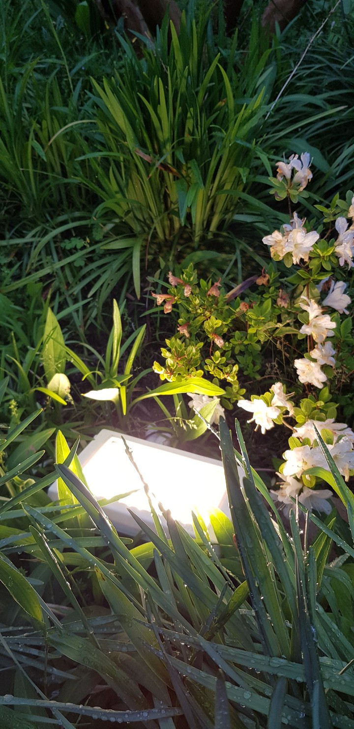 조명