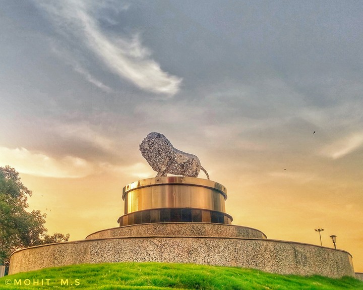 Lion