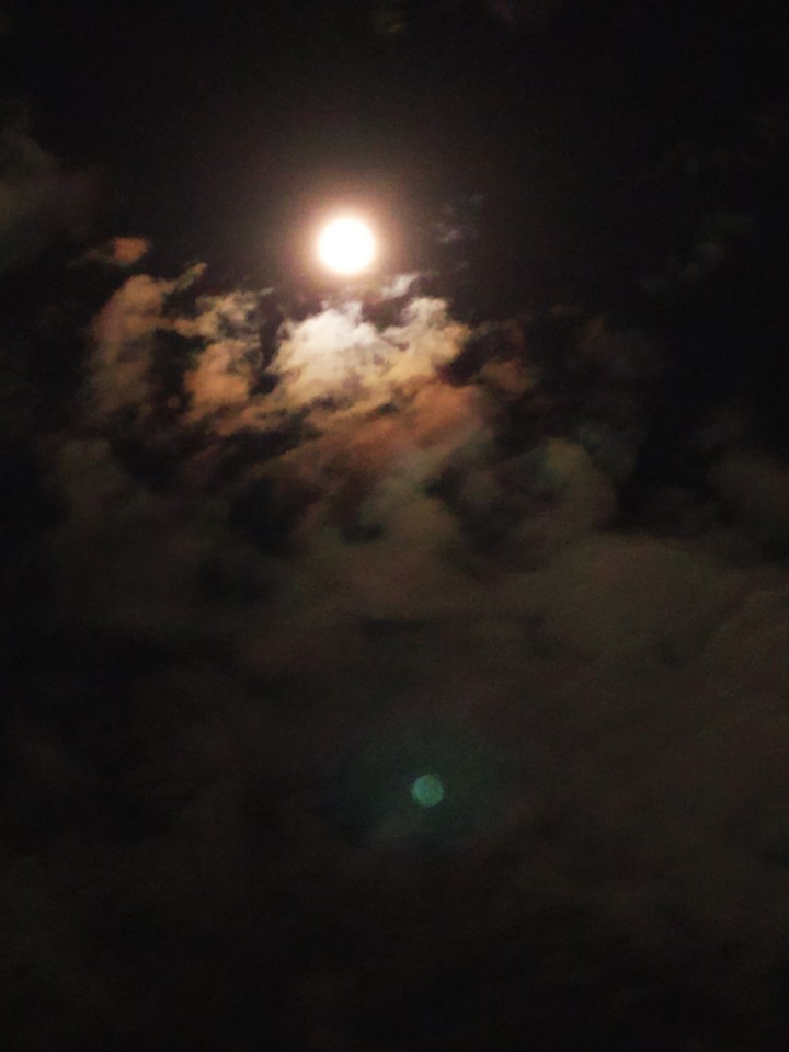Moonlight