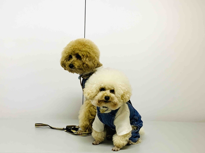 Lucky& Money