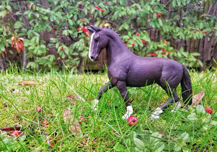 My new lovely Schleich horse ❤️
