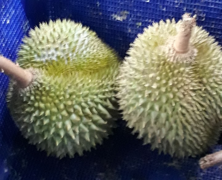 King of Fruits