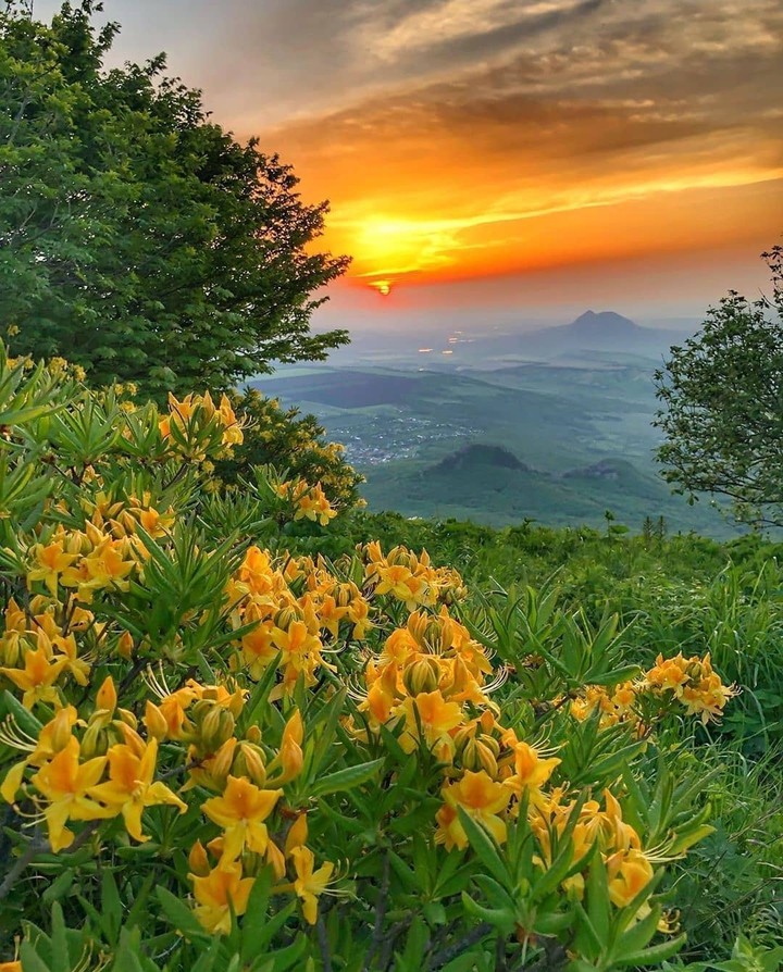 # landscape