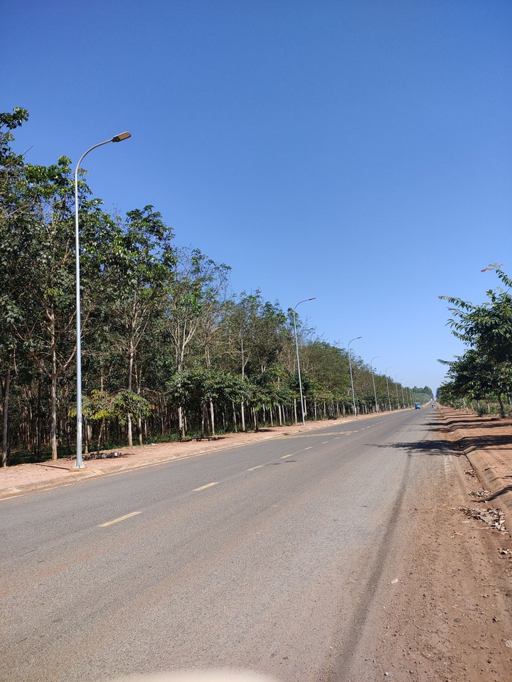 Road
