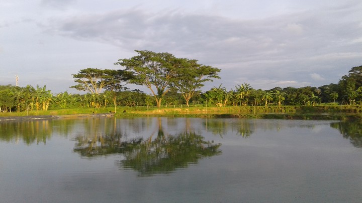 aaa