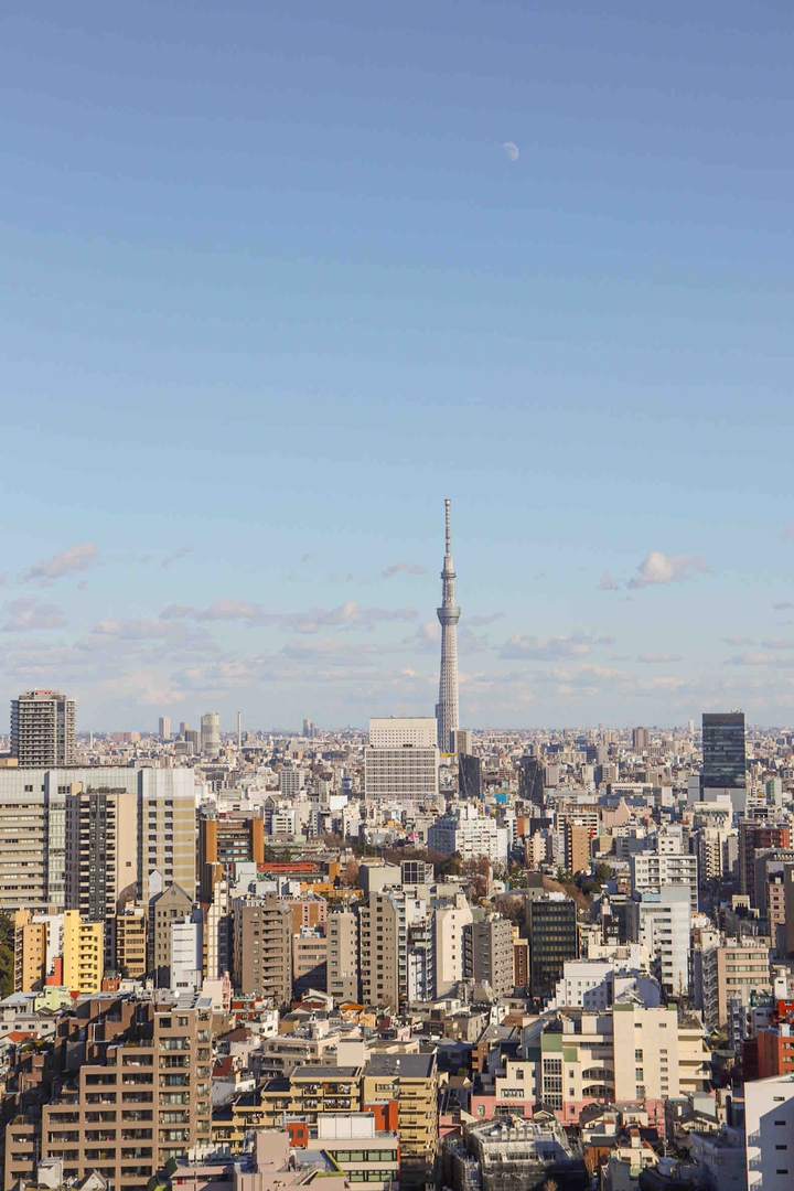 Tokyo with Skytree