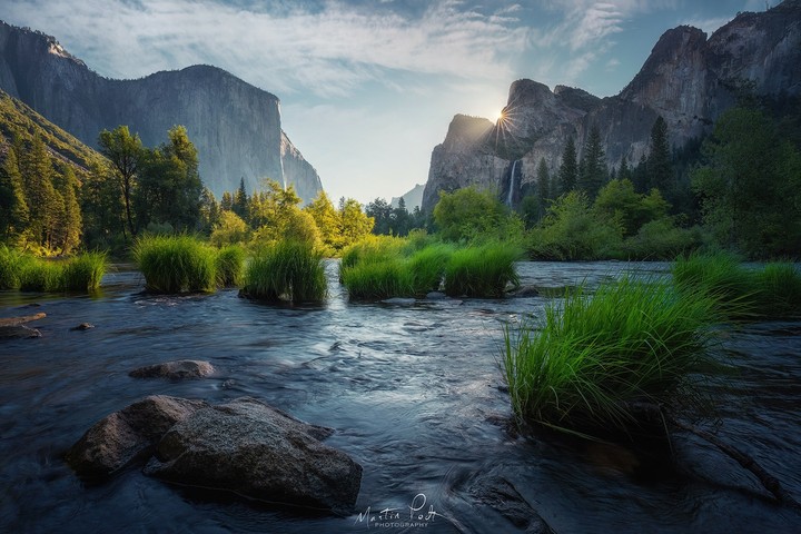 nature
