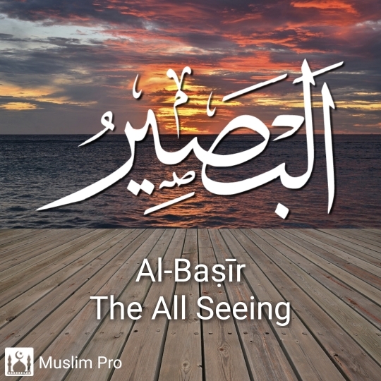 the All seeing